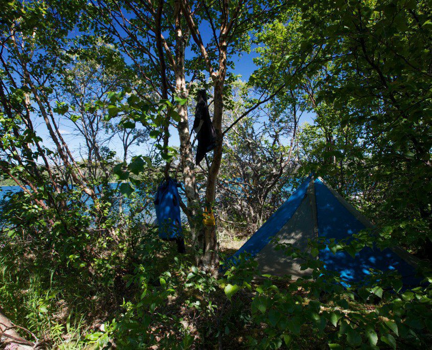 One of our island camps on Naknek Lake, Katmai National Park