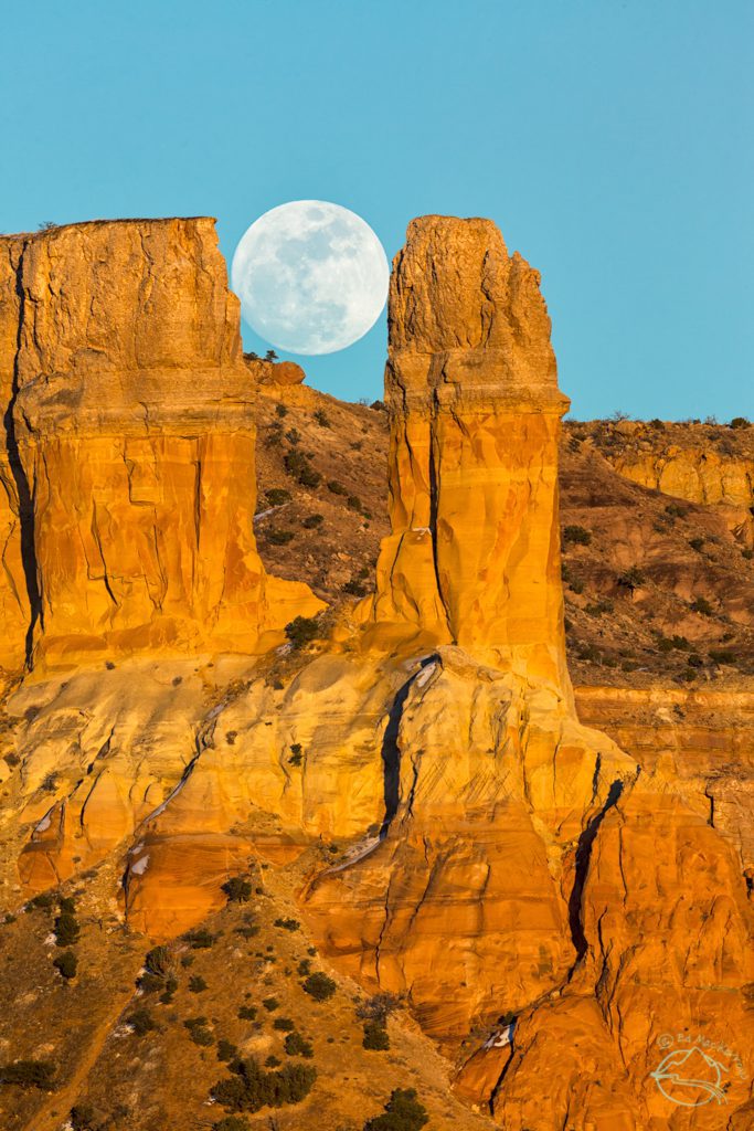 Moonrise, Carson Forest New Mexico