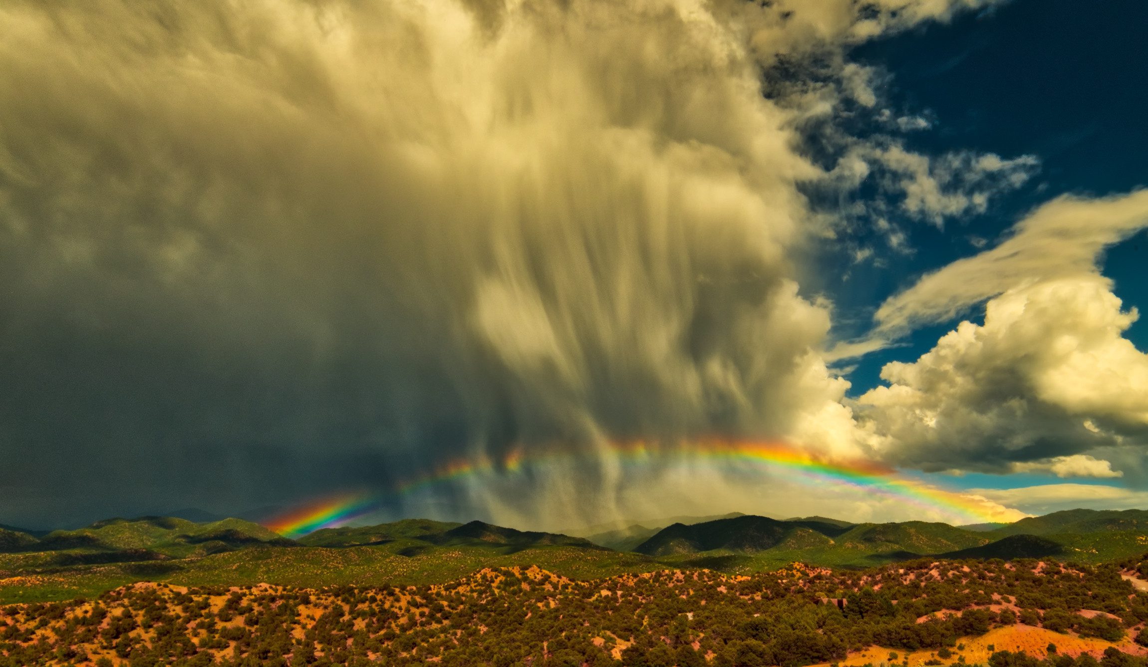 A low rainbow over Tesuque, New Mexico with curtains of falling rain.