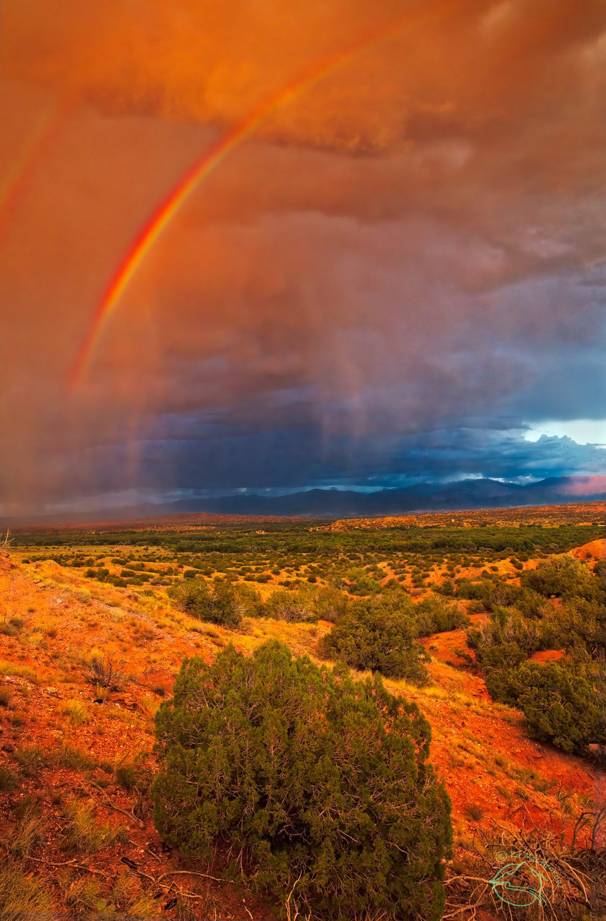 Rainbow photographs and the science behind them