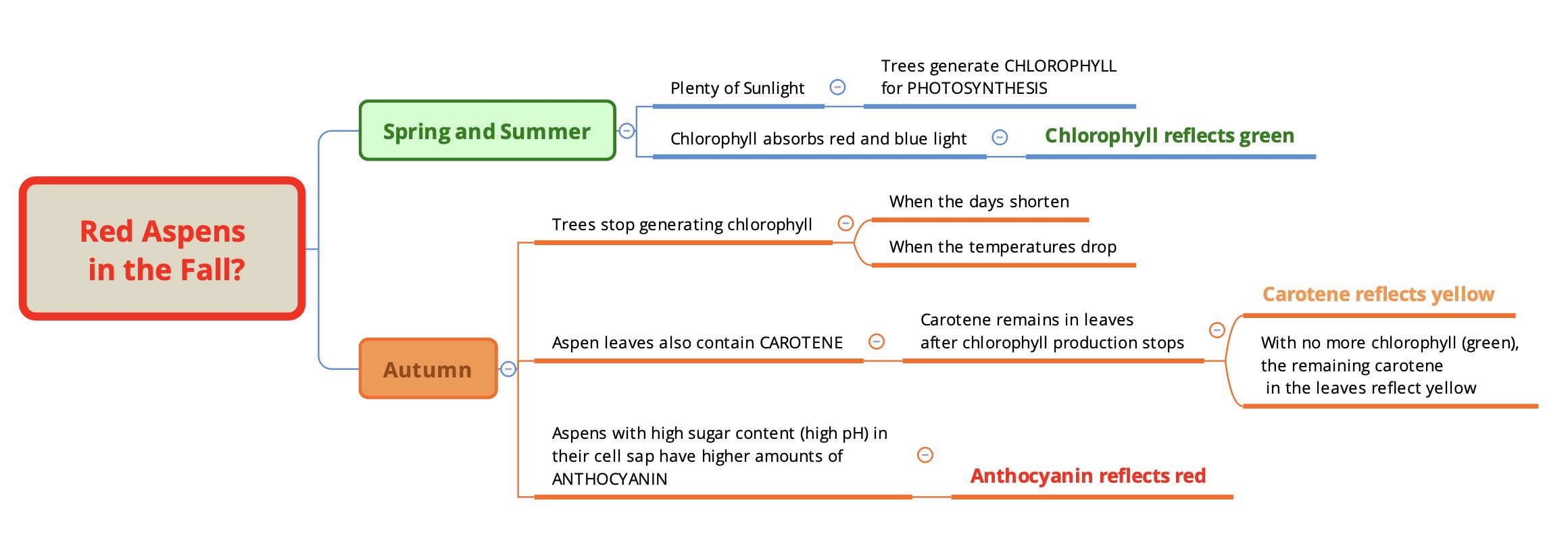 Diagram explaining why some aspen trees turn red