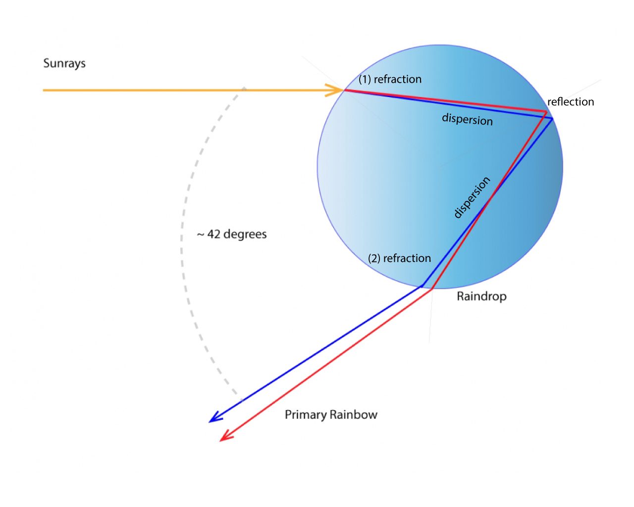 How are rainbows formed from sunlight and water?